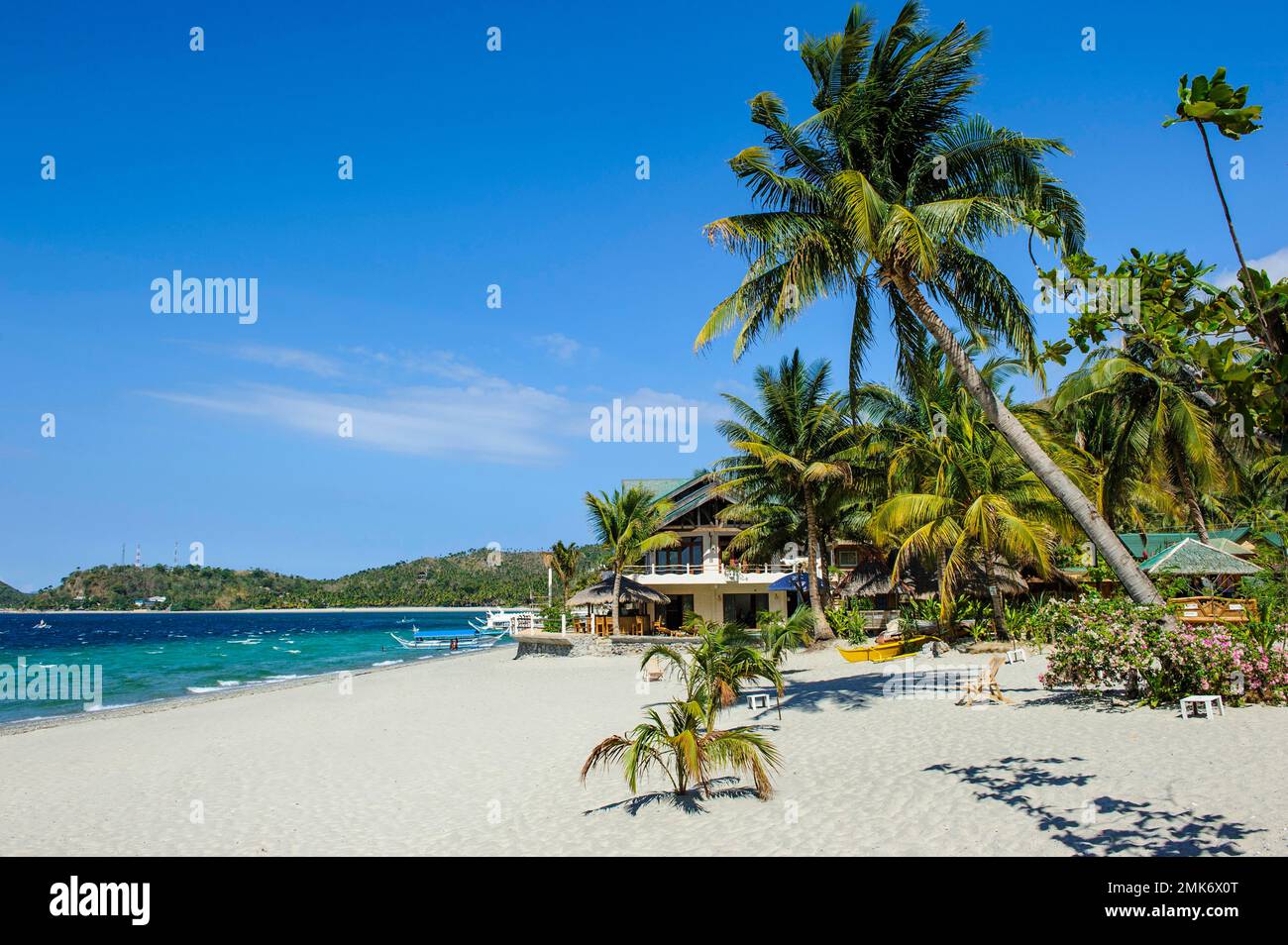 Plage de sable vide sans touristes avec cococotier (Cocos nucifera) de l'île exotique de vacances, Mindoro, Philippines Banque D'Images