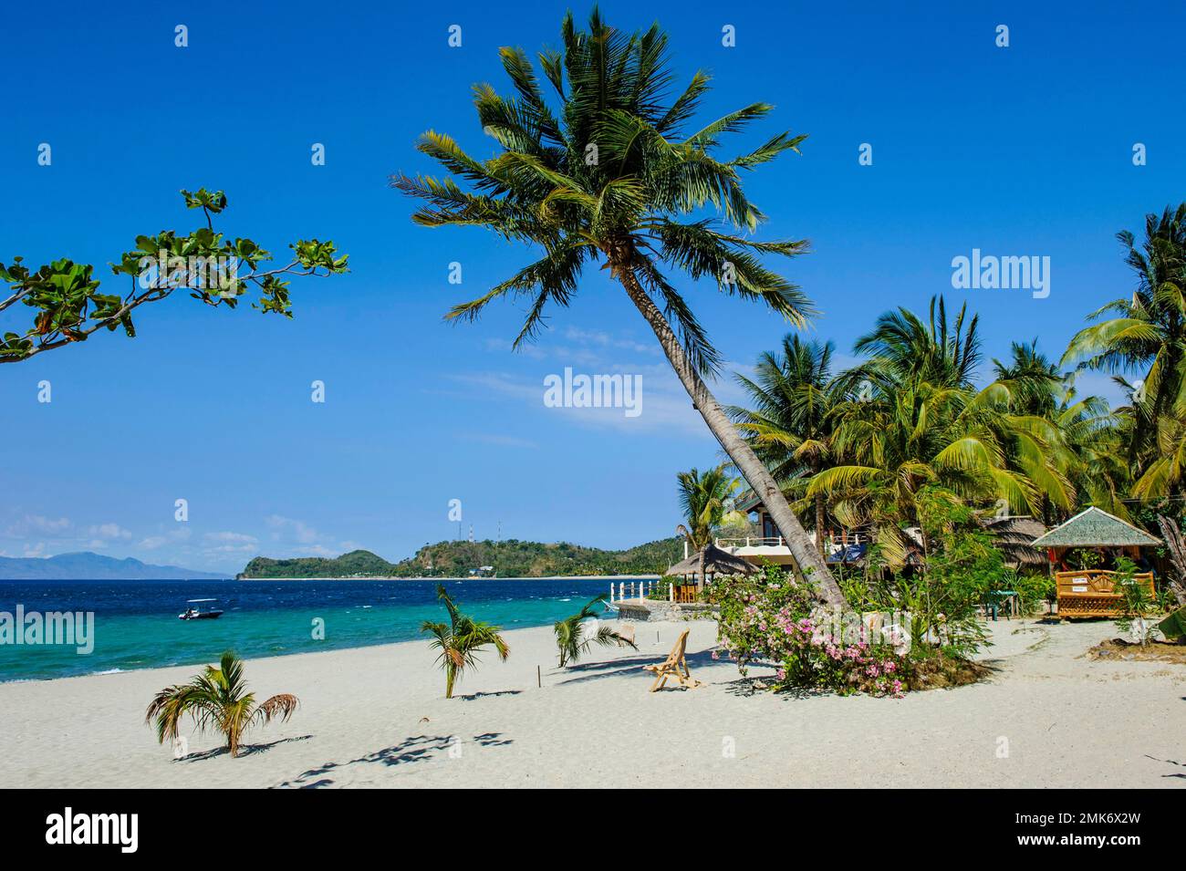 Plage de sable vide sans touristes avec cococotier (Cocos nucifera) de l'île exotique de vacances, Mindoro, Philippines Banque D'Images