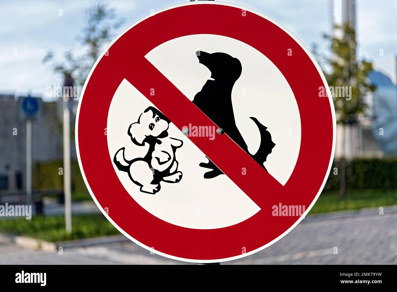 Panneau d'interdiction, panneau d'interdiction avec pictogramme, accès interdit aux chiens, Munich, haute-Bavière, Bavière, Allemagne Banque D'Images