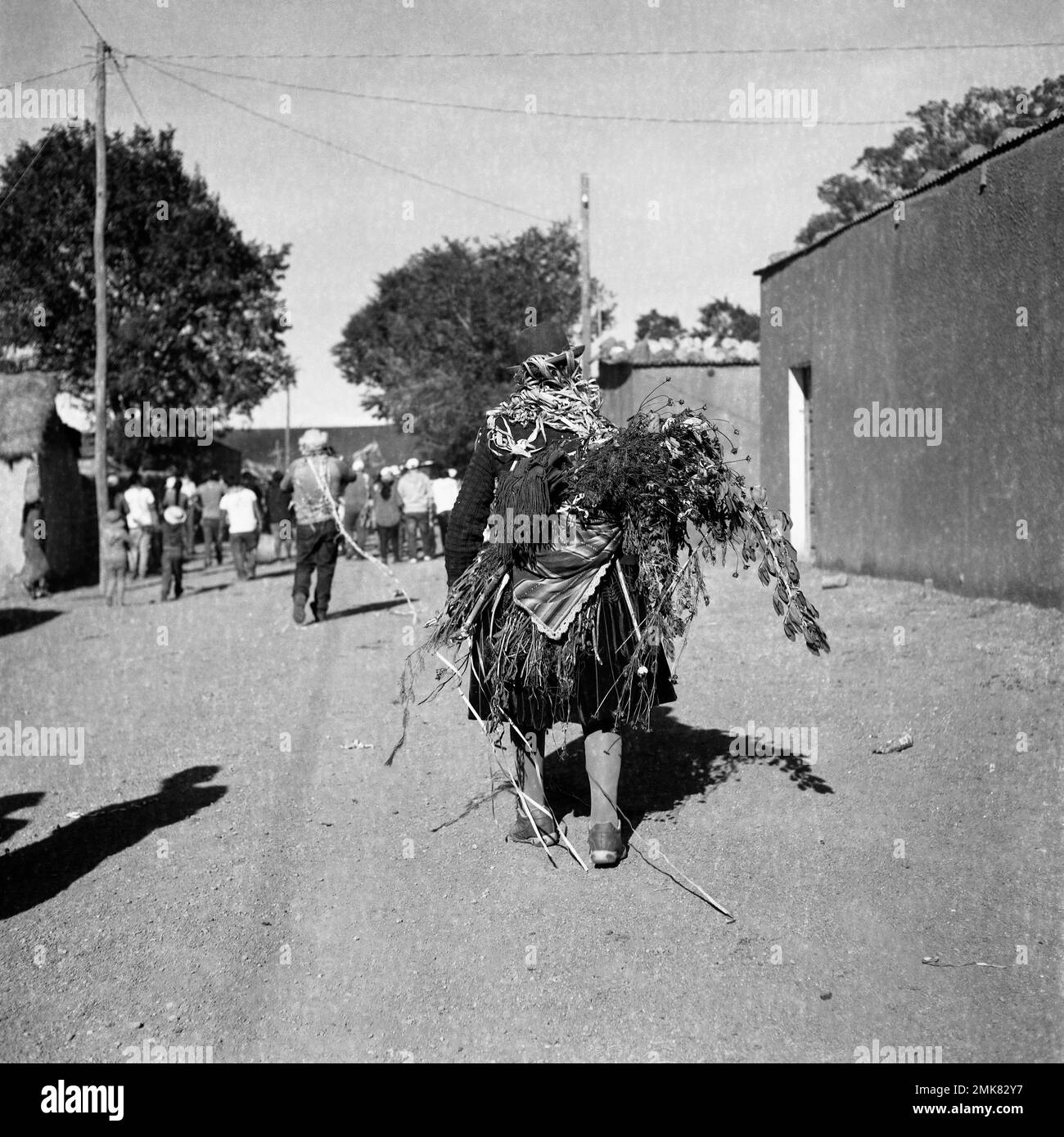 Atacama plateau Desert Carnival Tradition Costume Amérique latine animation Bolivie bolivienne coutume surpeuplé divers fête du carnaval Banque D'Images