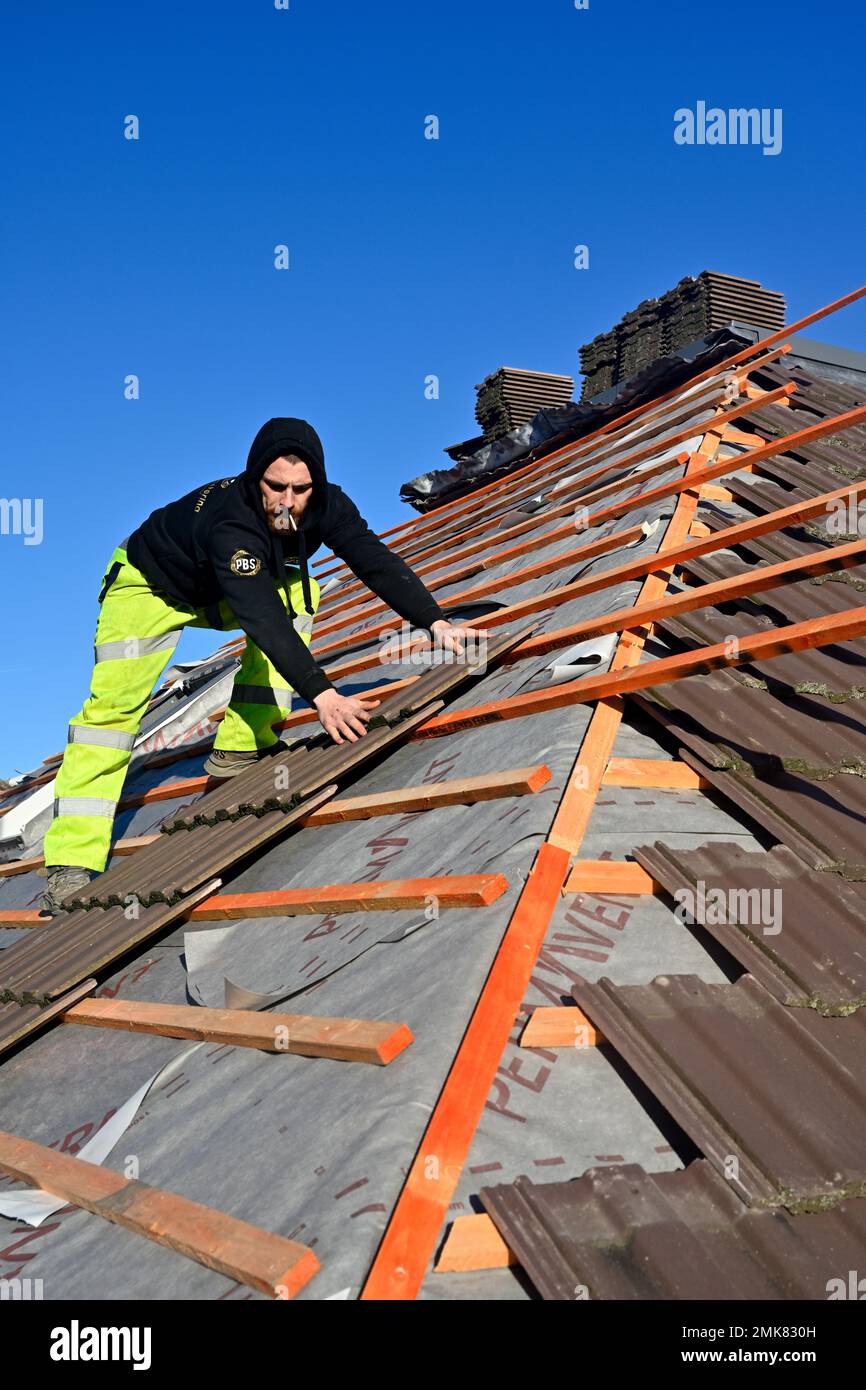 Couvreur posant des carreaux sur de nouvelles matraques au-dessus d'une membrane de ventilation sur le toit de maison de rénovation, Royaume-Uni Banque D'Images