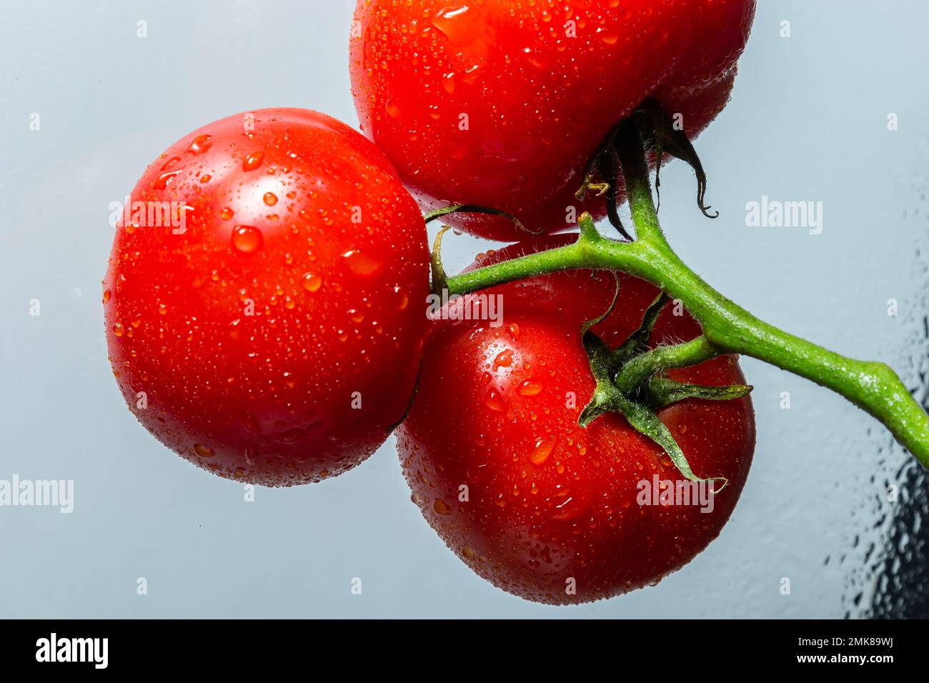 Tomates rouges avec des boutures vertes et des gouttes d'eau après lavage, sur fond clair. Banque D'Images