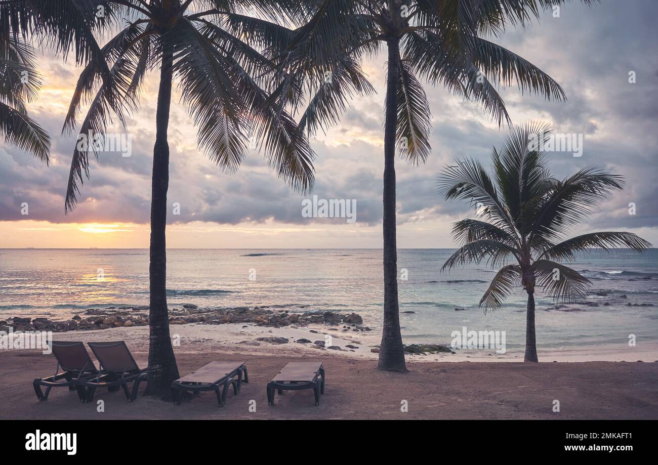 Plage tropicale avec silhouettes de palmiers à noix de coco au coucher du soleil, tonng de couleur appliqué. Banque D'Images