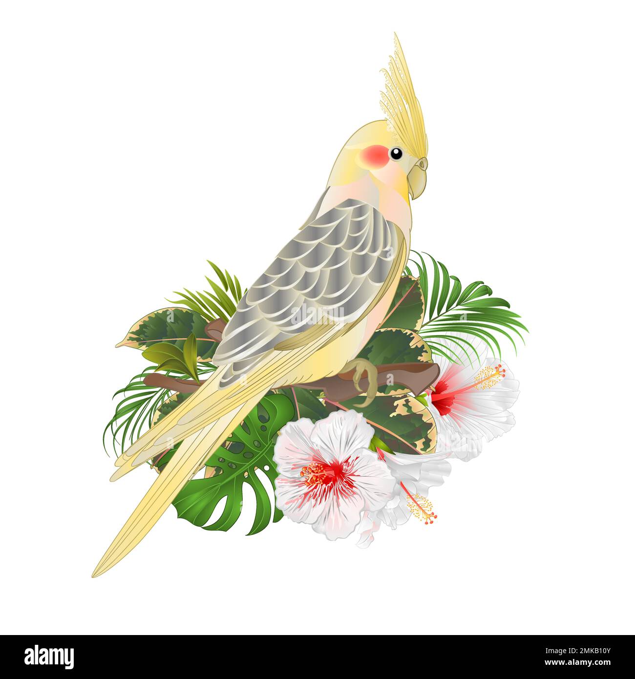 Drôle de perroquet jaune cocatel mignon oiseau tropical et blanc hibiscus aquarelle style sur un fond vert vintage vecteur illustration modifiable main Illustration de Vecteur