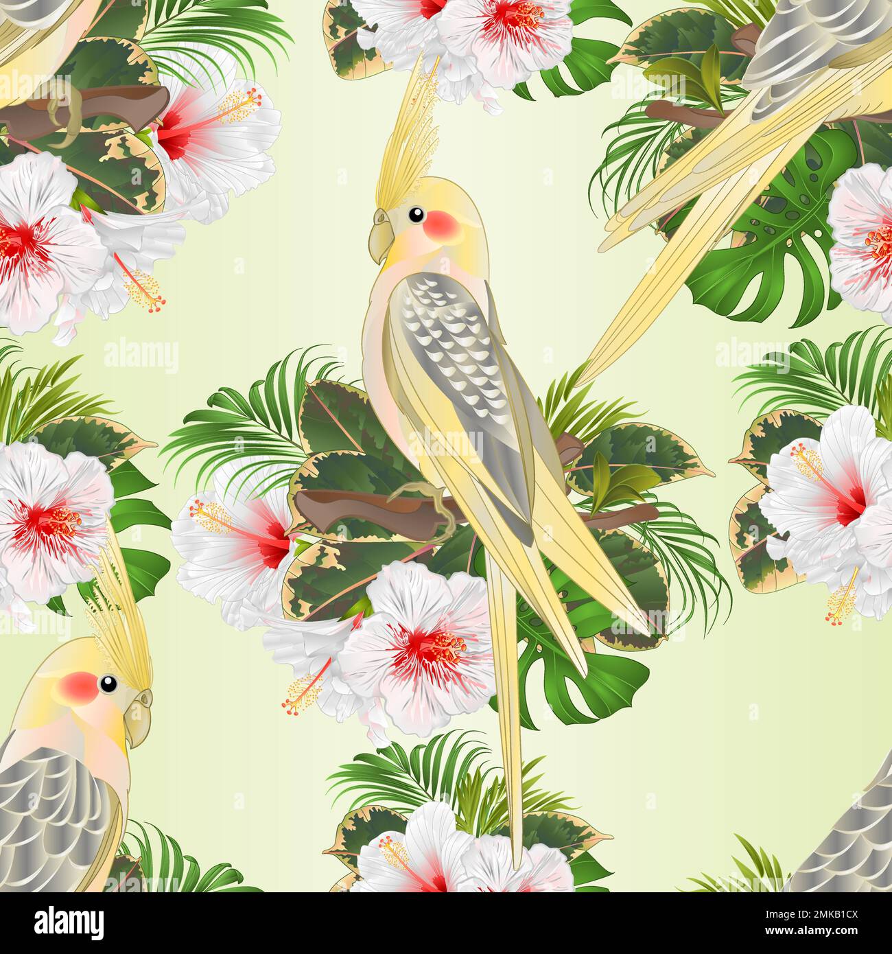 Texture sans couture Cockatiels jaunes mignon oiseaux tropicaux perroquets drôles et hibiscus blanc aquarelle style sur un fond vert vintage vecteur illustr Illustration de Vecteur