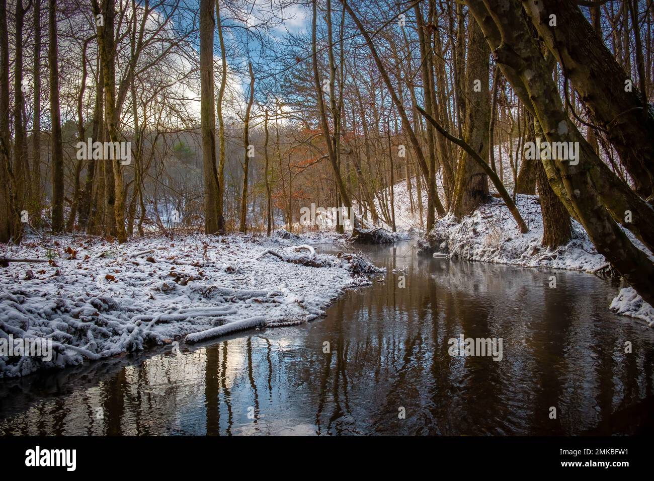 Un ruisseau sinueux coule vers un lac dans le paysage d'hiver. Les lacs Grundy du réseau de parc national South Cumberland au Tennessee. Banque D'Images