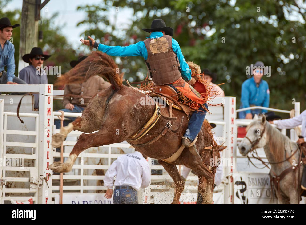 Homestead, Floride, États-Unis. 28th janvier 2023. 74th Rodeo de championnat annuel Homestead, présenté par Downrite Engineering et Spitzer Chrysler Dodge Jeep RAM de Homestead. Barrel Racing, Bull Riding, Tie Down Roping, Team Roping, Saddle Bronc Riding, Bareback Bronc Riding, Steer Wrestling, John Harrison Specialty Act, Homestead Everglades Posse Specialty Act. PRCA. Credit: Yaroslav Sabitov/YES Market Media/Alay Live News Banque D'Images