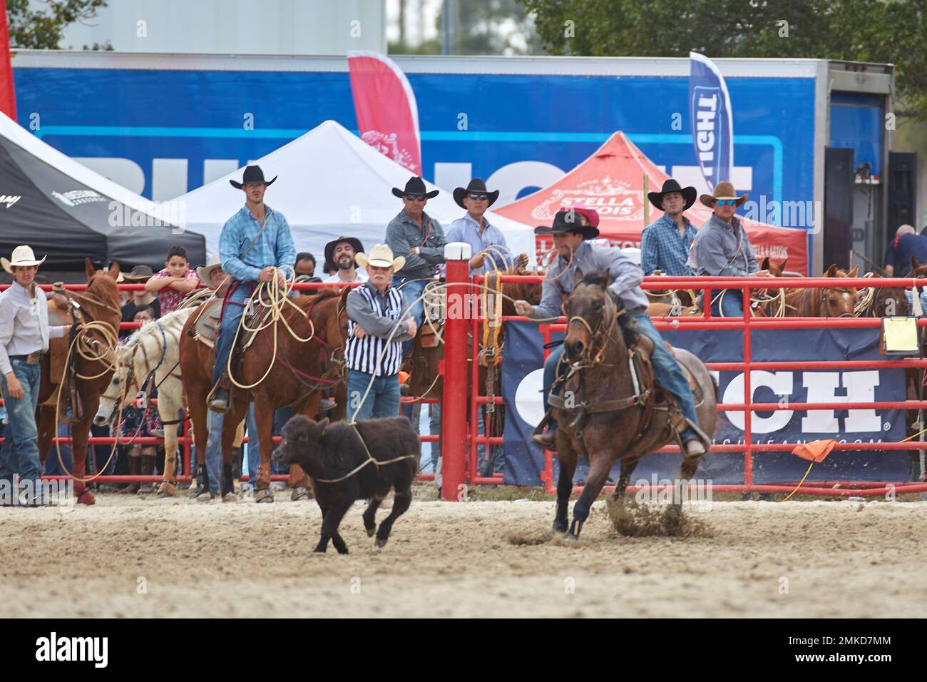 Homestead, Floride, États-Unis. 28th janvier 2023. 74th Rodeo de championnat annuel Homestead, présenté par Downrite Engineering et Spitzer Chrysler Dodge Jeep RAM de Homestead. Barrel Racing, Bull Riding, Tie Down Roping, Team Roping, Saddle Bronc Riding, Bareback Bronc Riding, Steer Wrestling, John Harrison Specialty Act, Homestead Everglades Posse Specialty Act. PRCA. Credit: Yaroslav Sabitov/YES Market Media/Alay Live News Banque D'Images