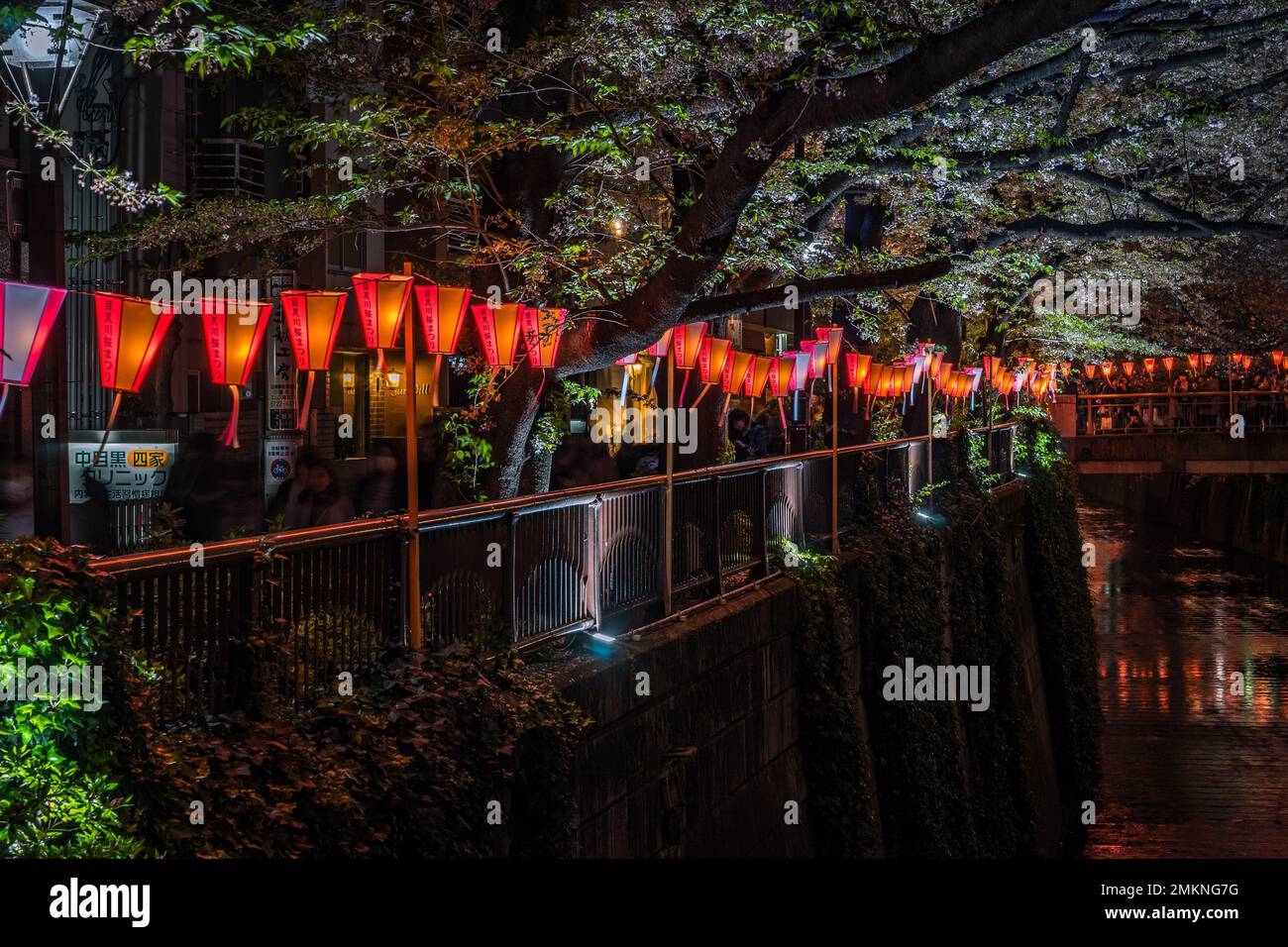 Tokyo, Japon - la saison des cerisiers en fleur, Meguro river Banque D'Images