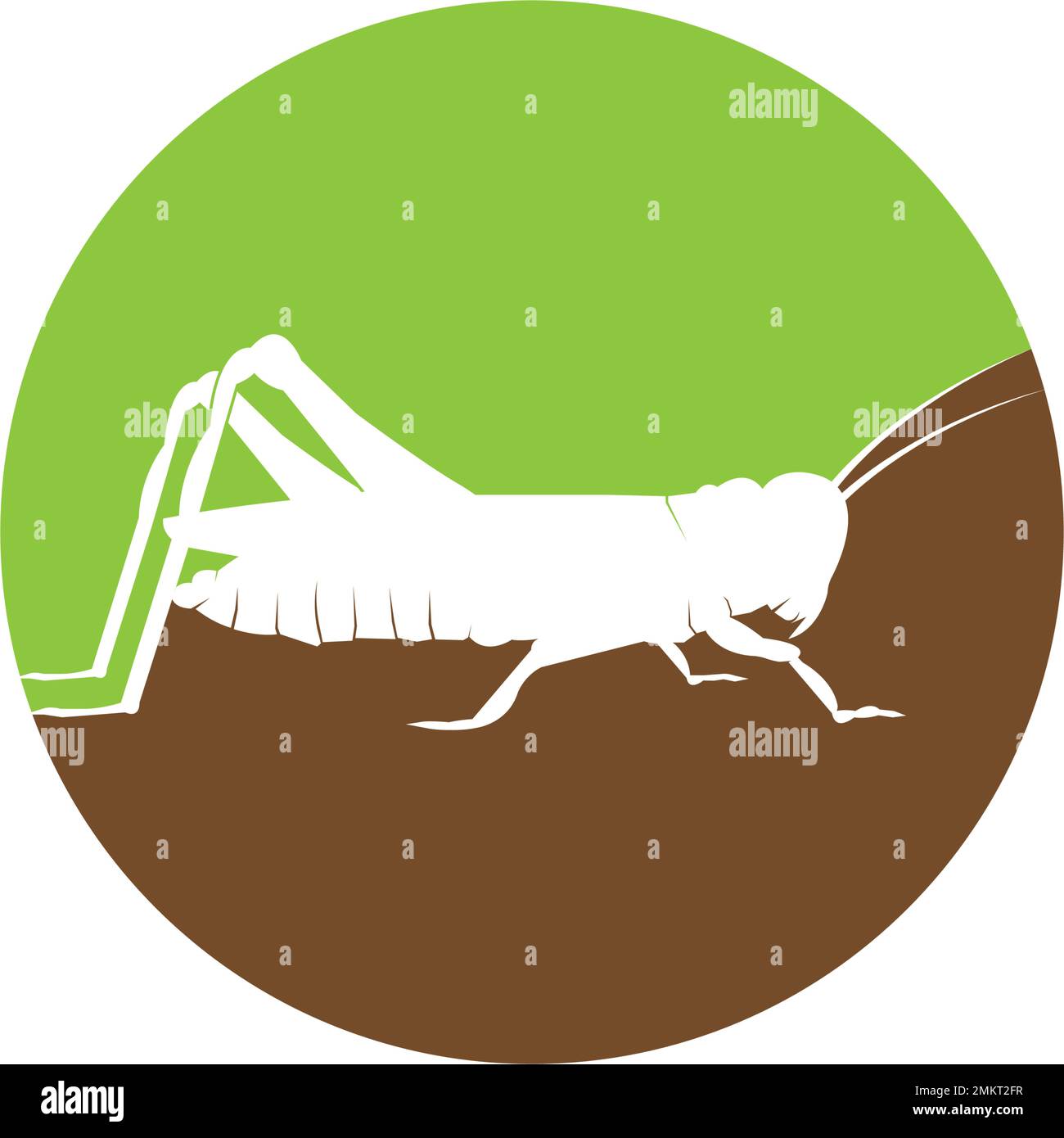 Modèle de logo de la sauterelle dessin d'illustration d'icône vectorielle Illustration de Vecteur