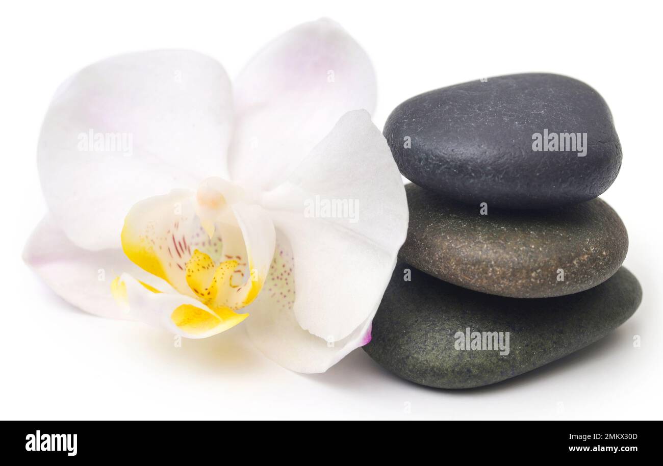 Pierre de spa avec fleur d'orchidée sur fond blanc Banque D'Images