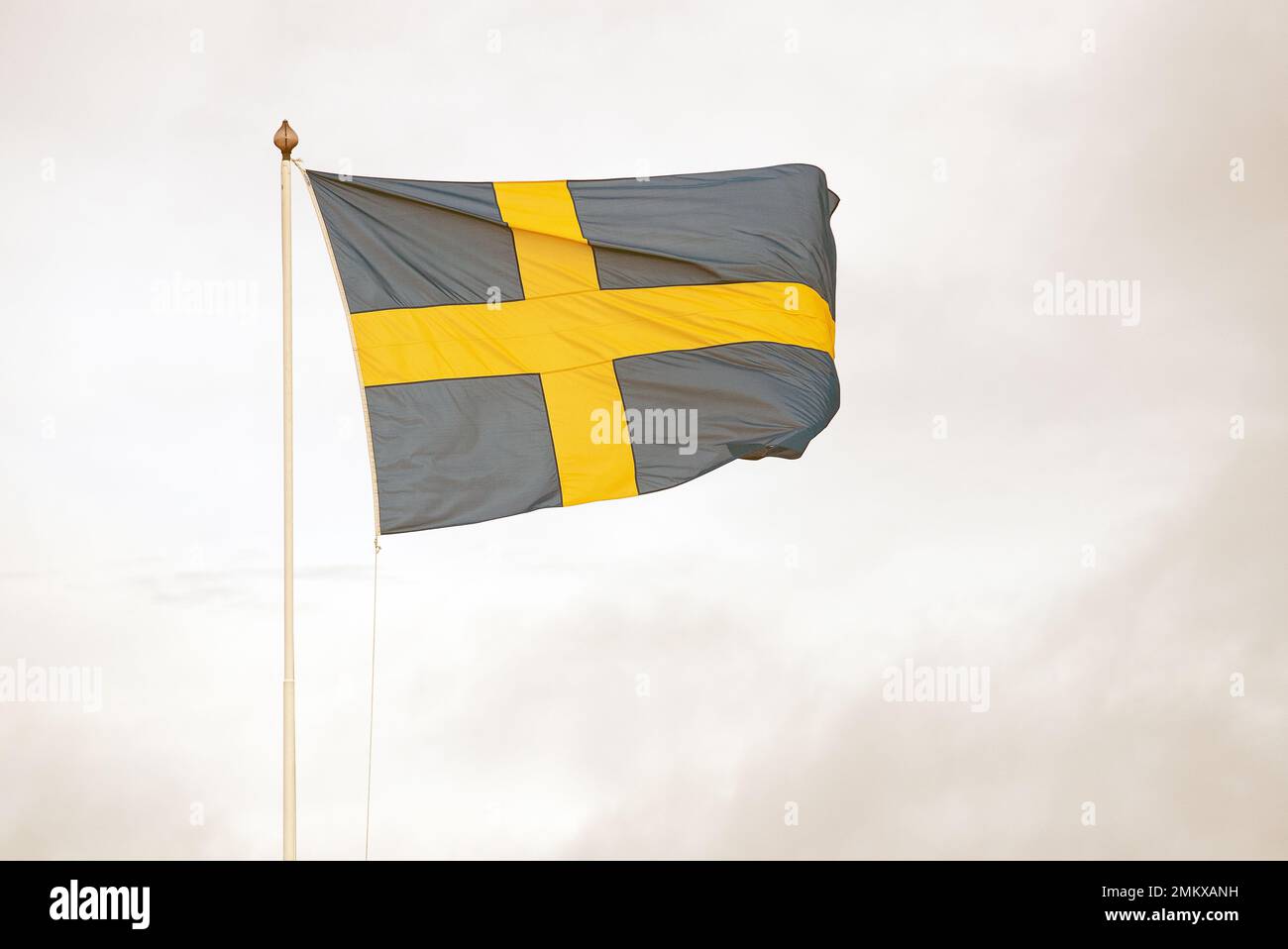 Drapeau suédois sur mât de drapeau, fond blanc Banque D'Images
