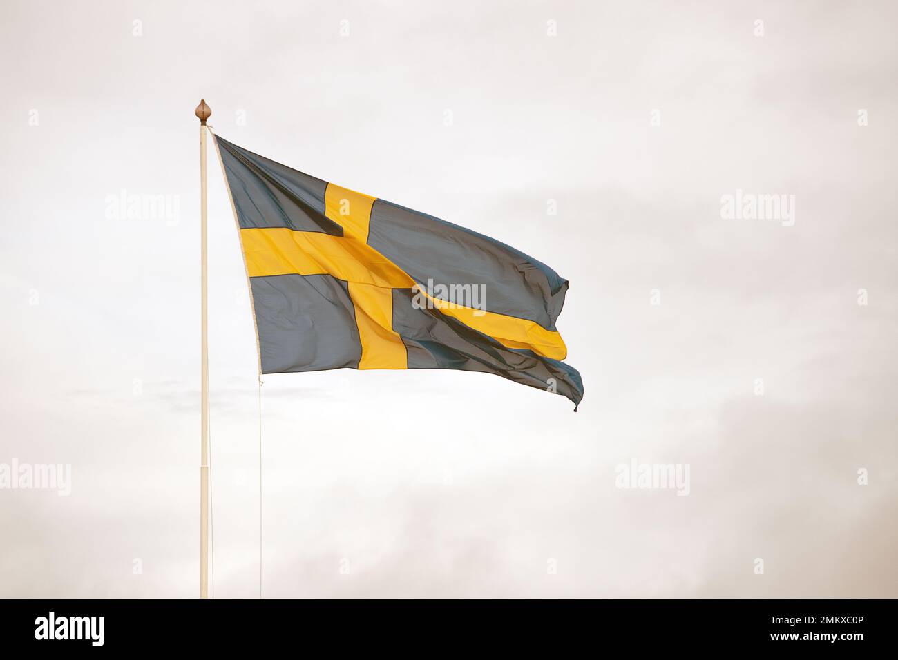 Drapeau suédois sur mât de drapeau, fond blanc Banque D'Images