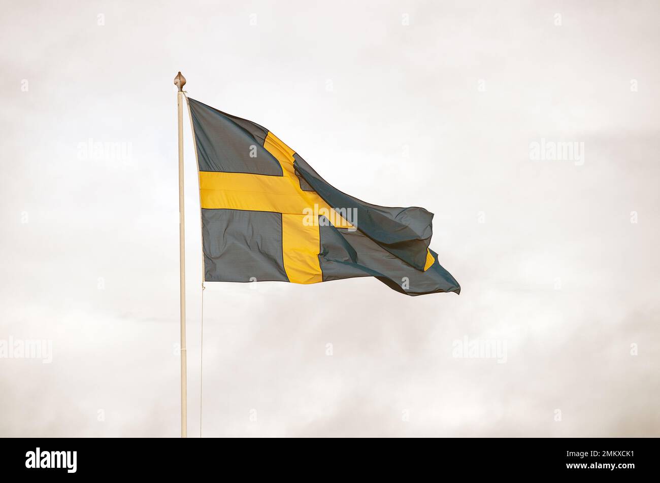 Drapeau suédois sur mât de drapeau, fond blanc Banque D'Images