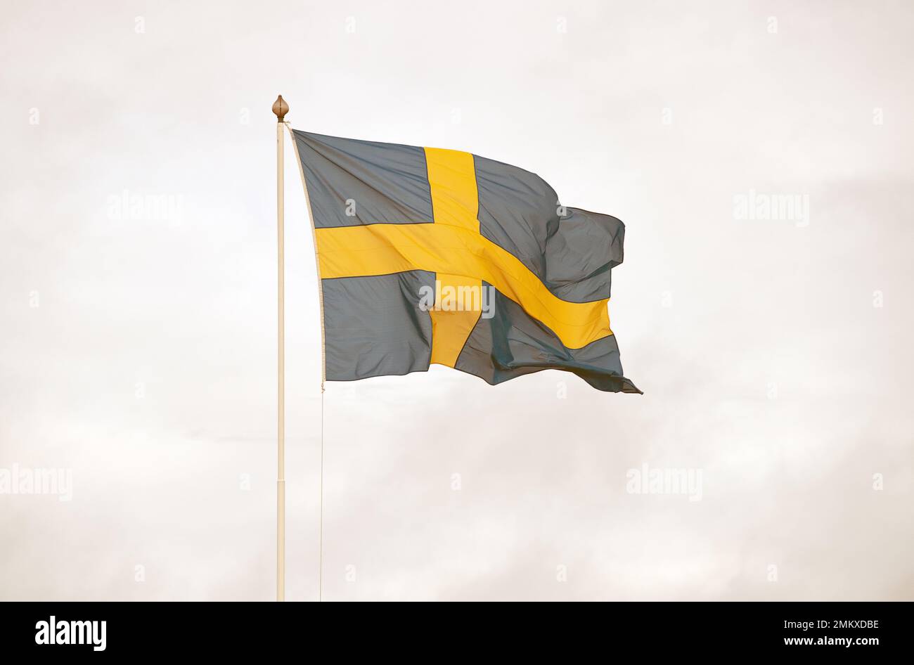 Drapeau suédois sur mât de drapeau, fond blanc Banque D'Images