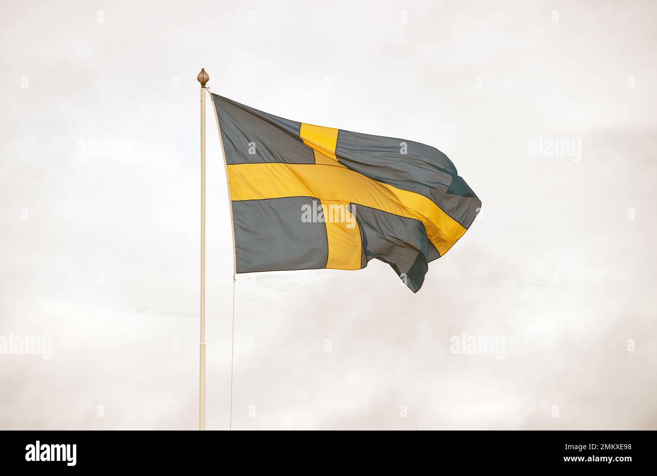 Drapeau suédois sur mât de drapeau, fond blanc Banque D'Images