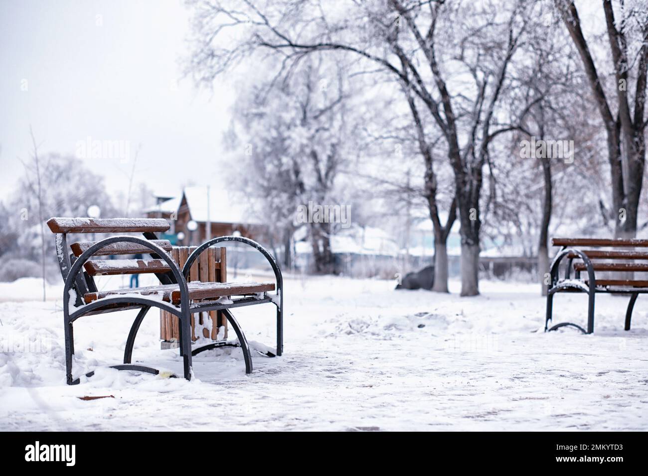 garez le banc sur une allée d'hiver à la tombée de la neige. banc de neige après la tempête de neige ou dans la calamité de neige en europe, photographie de nuit d'hiver en ville Banque D'Images