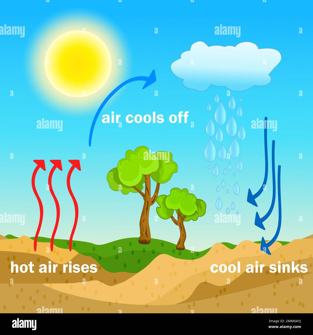 Diagramme du processus de convection. L'air chaud monte et l'air frais s'écoule. Masses d'air chaud et froid. Circulation d'air chaud et froid thermique. Illustration vectorielle Illustration de Vecteur