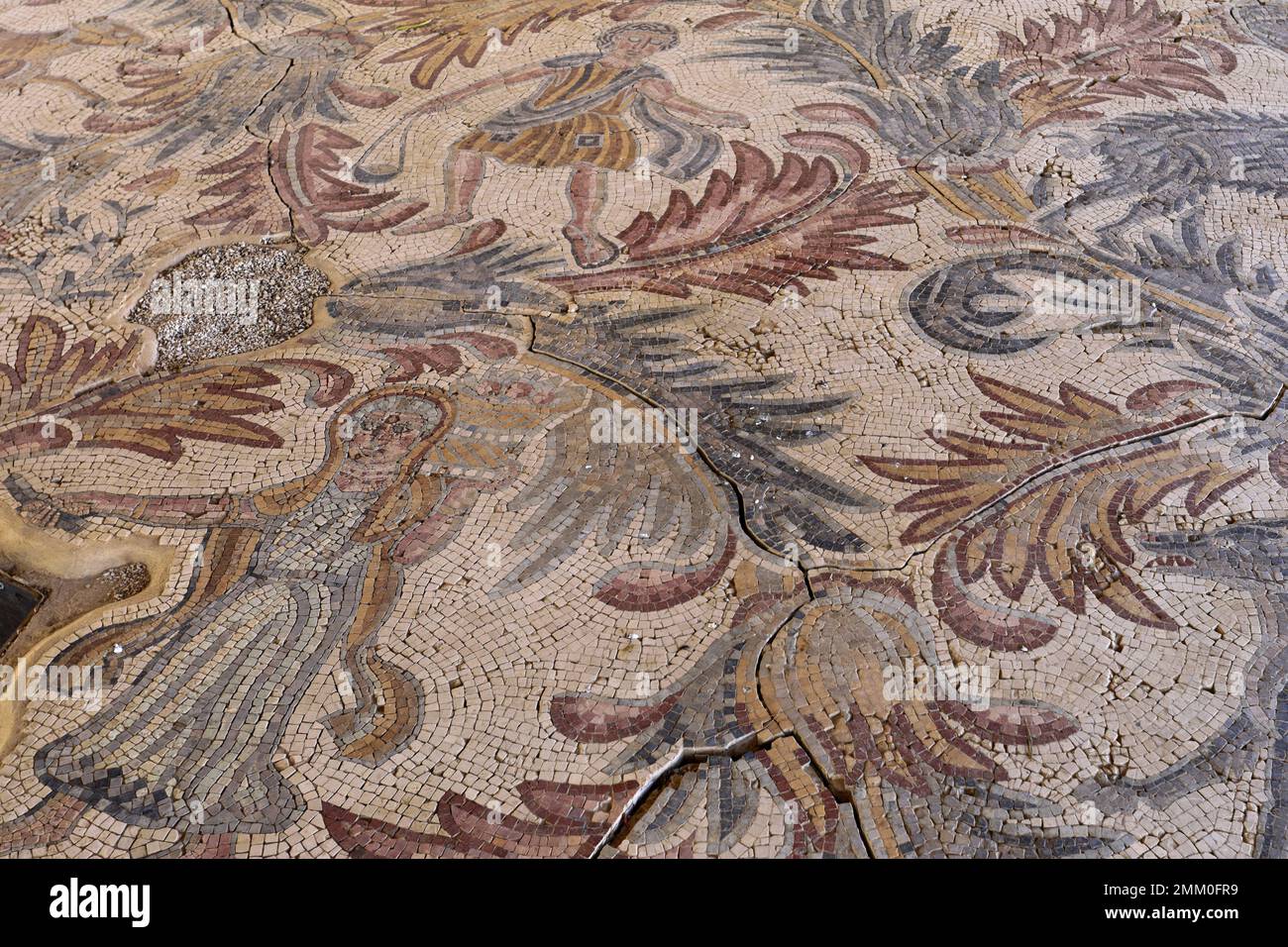 Le plancher de la mosaïque dans la Chapelle du Priest John, Mont Nebo, Jordanie, Moyen-Orient Banque D'Images