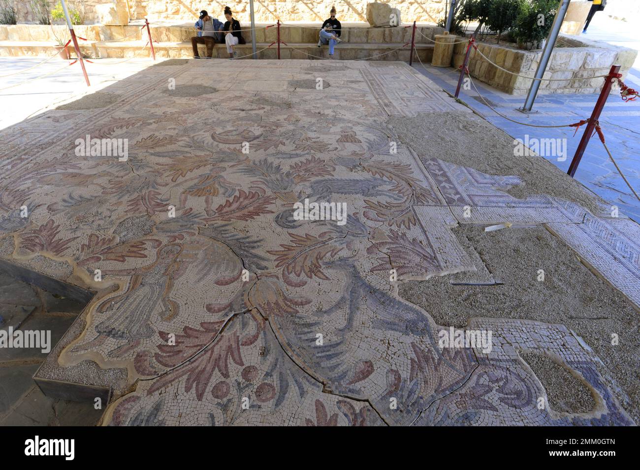 Le plancher de la mosaïque dans la Chapelle du Priest John, Mont Nebo, Jordanie, Moyen-Orient Banque D'Images