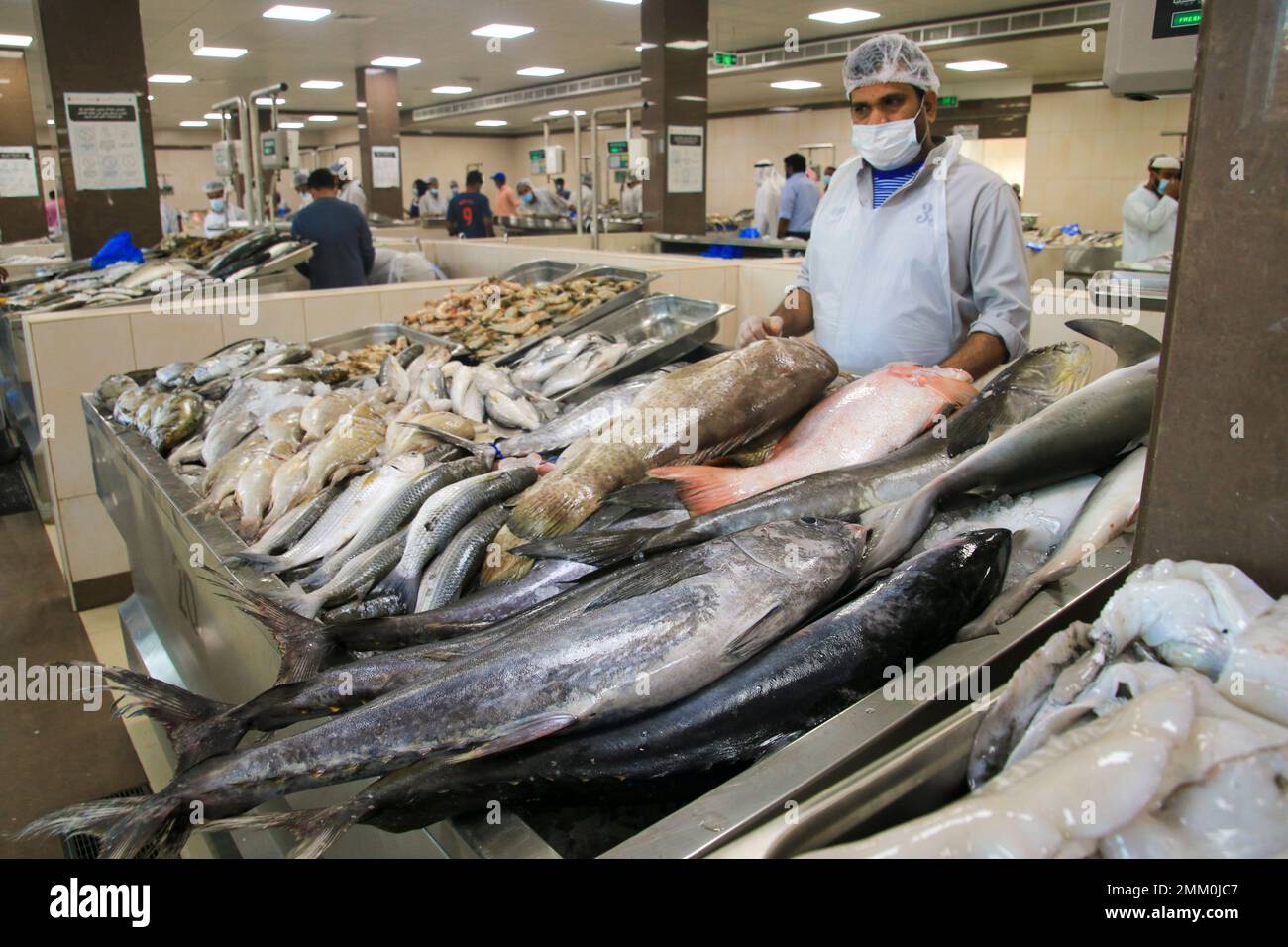 Le marché aux poissons de Ras Al Khaimah (RAK) (historiquement Jullfar) est la plus grande ville et capitale de l'émirat de Ras Al Khaimah, Émirats arabes Unis. Banque D'Images