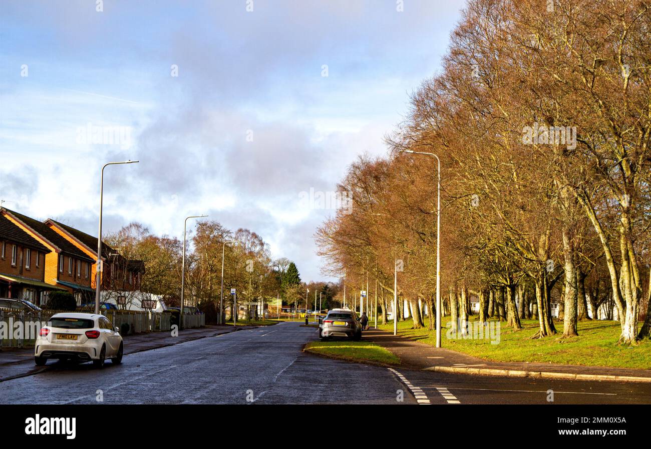 Dundee, Tayside, Écosse, Royaume-Uni. 29th janvier 2023. Météo au Royaume-Uni : après un début de journée frais et nuageux, l'Écosse du Nord-est bénéficie d'un soleil doux de janvier avec des températures autour de 9°C. Vue sur le village d'Ardler à Dundee photographiée sous le beau soleil d'hiver. Il y a beaucoup d'espace ouvert dans et autour du village, complété par de nouveaux paysages innovants qui incluent des prairies urbaines durables, des zones boisées et des magasins. Crédit : Dundee Photographics/Alamy Live News Banque D'Images