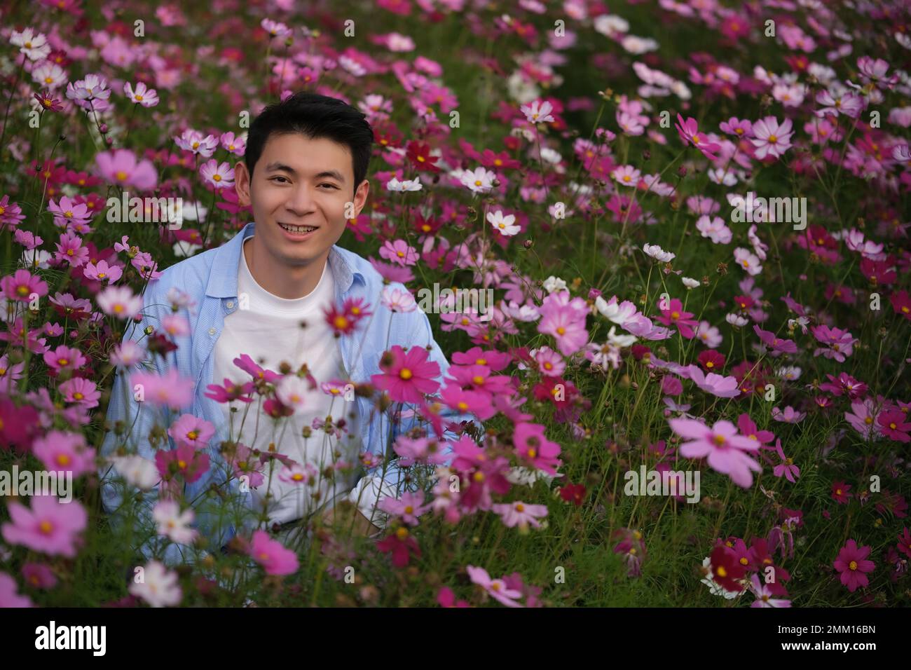 Portrait du sourire beau jeune asiatique en rose rouge galsang fleurs champ, regardant la caméra Banque D'Images