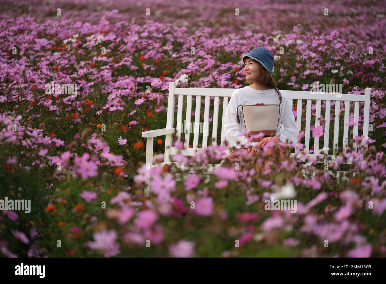 Sourire la jeune femme chinoise s'assoit sur le banc entouré de fleurs galsang roses dans le jardin Banque D'Images