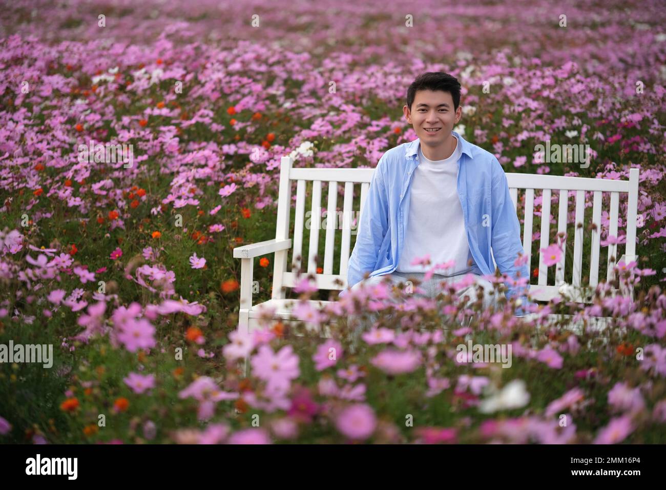 Beau sourire asiatique jeune homme assis sur le banc entouré de fleurs roses galsang dans le jardin, regardant la caméra Banque D'Images