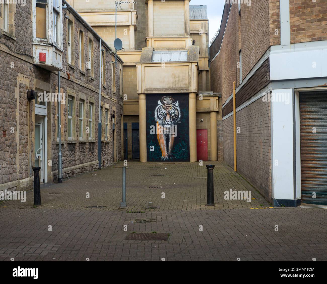 © 2023 John Angerson peinture murale Lion, Weston Wallz oeuvre de Martin Darcy & Lin Toulcher, Regent Street, Weston Super mare Banque D'Images