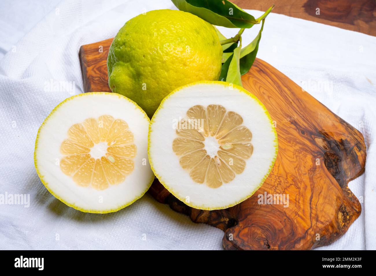 Cédrate de citron-citron ou Citrus medica, grands agrumes parfumés avec de la croûte épaisse utilisés pour faire de la limonchello italienne Banque D'Images