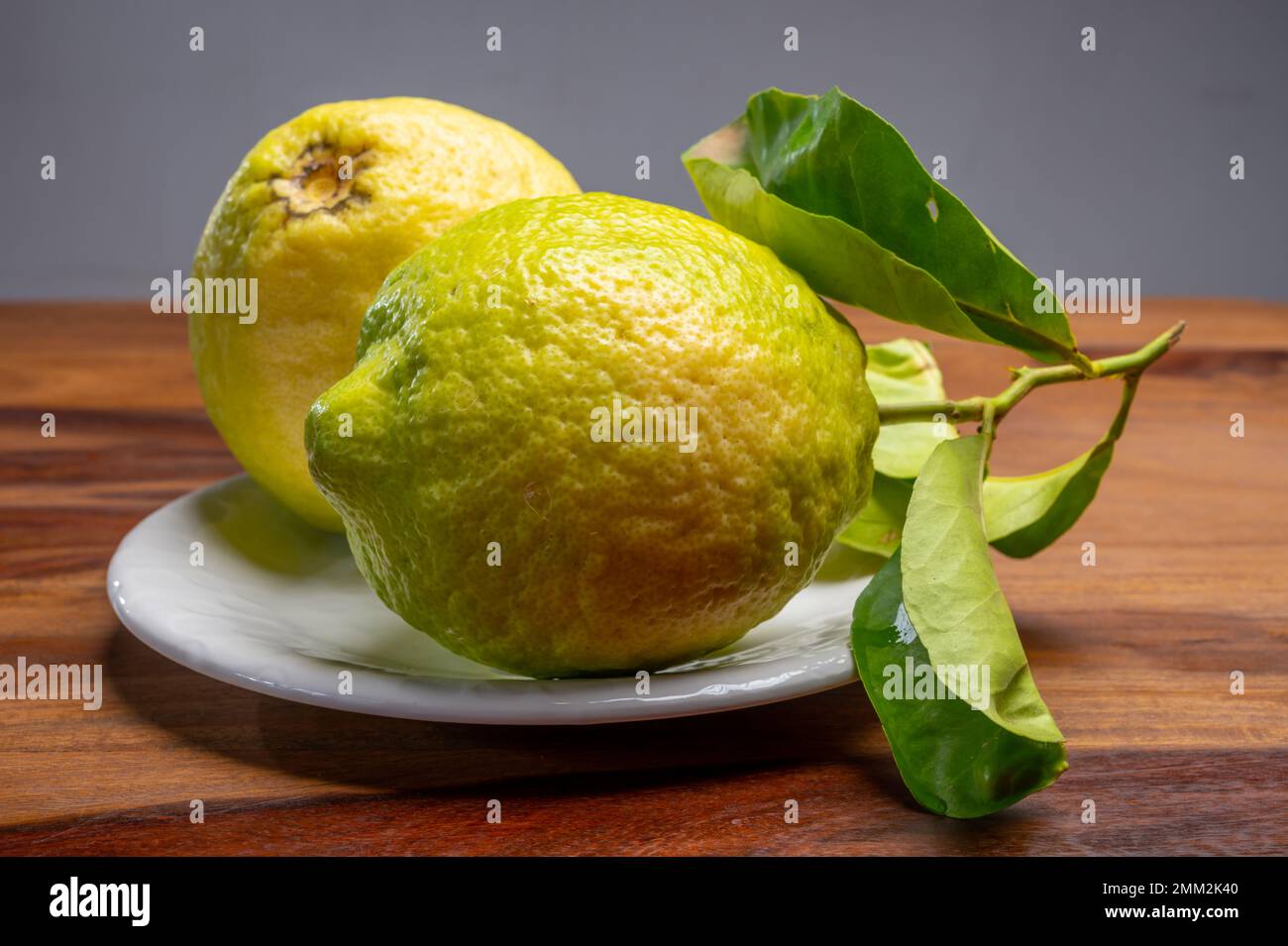 Cédrate de citron-citron ou Citrus medica, grands agrumes parfumés avec de la croûte épaisse utilisés pour faire de la limonchello italienne Banque D'Images