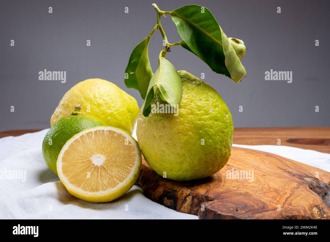 Variété d'agrumes, bergamote mûre et cédrate de citron-citron ou Citrus medica, grands agrumes parfumés à la croûte épaisse Banque D'Images