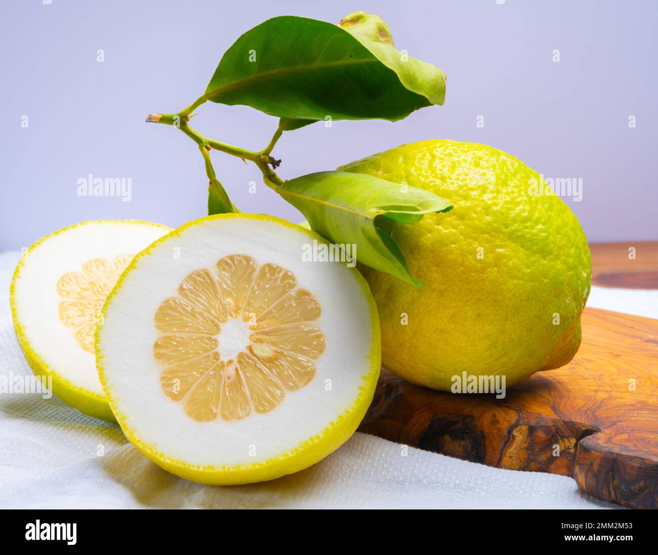 Cédrate de citron-citron ou Citrus medica, grands agrumes parfumés avec de la croûte épaisse utilisés pour faire de la limonchello italienne Banque D'Images