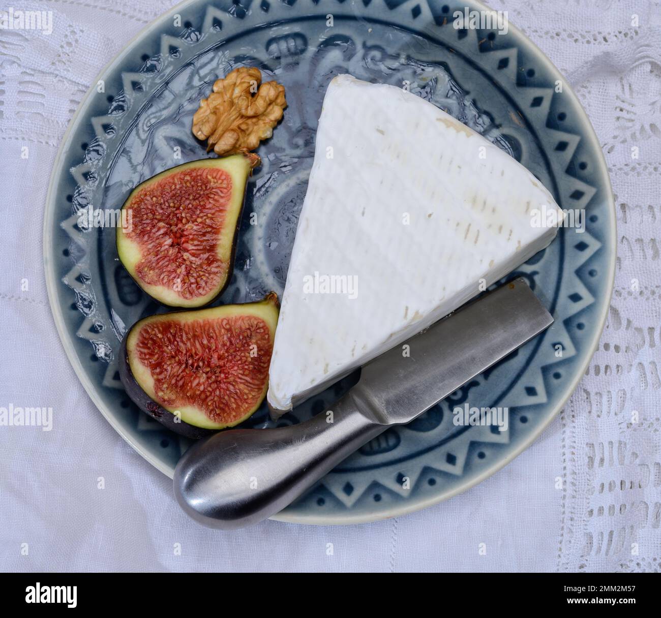 Collection de fromages, fromage français brie de Meaux de la région Seine-et-Marne avec moule blanc en gros plan Banque D'Images