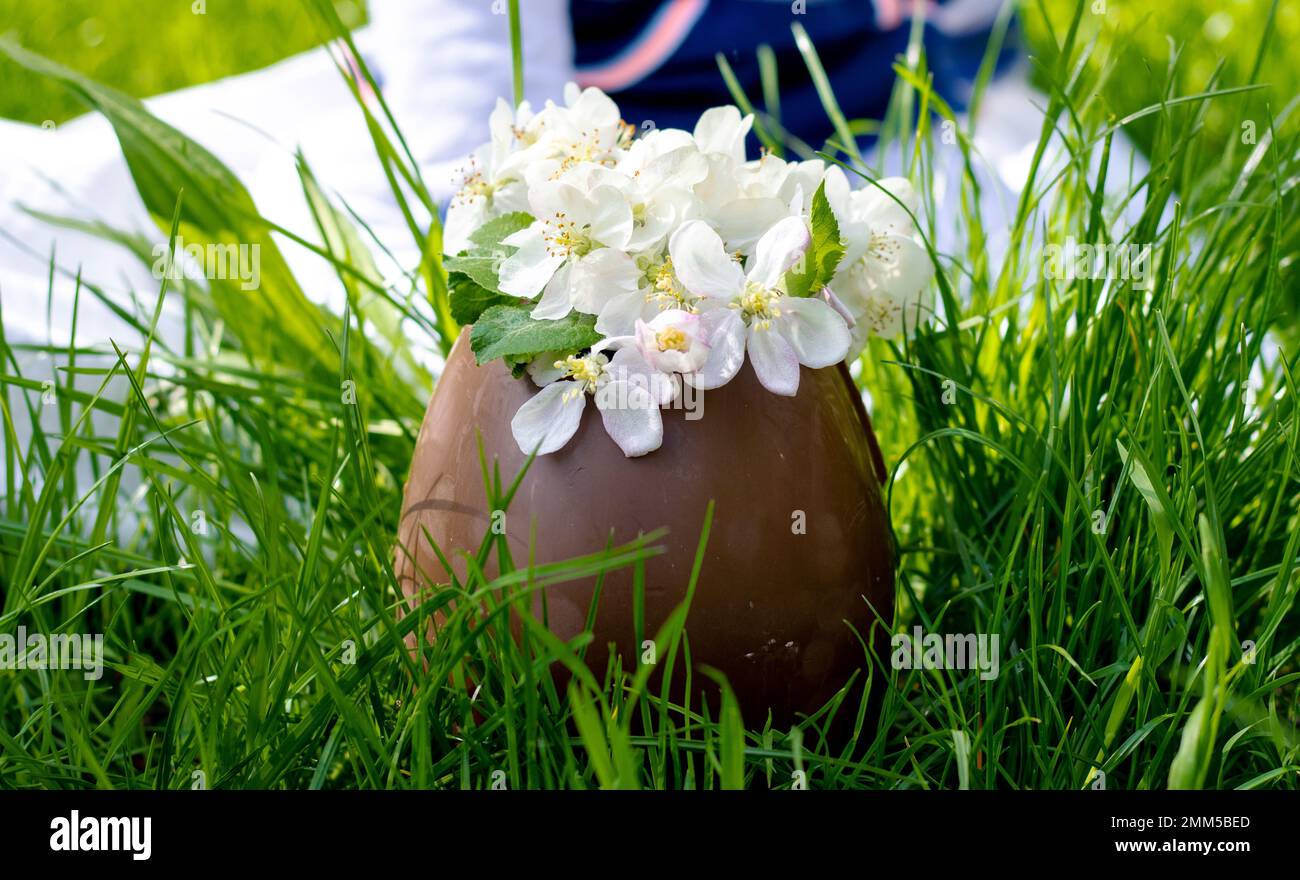 gros œuf de chocolat et lapin en peluche au soleil de l'herbe verte Banque D'Images