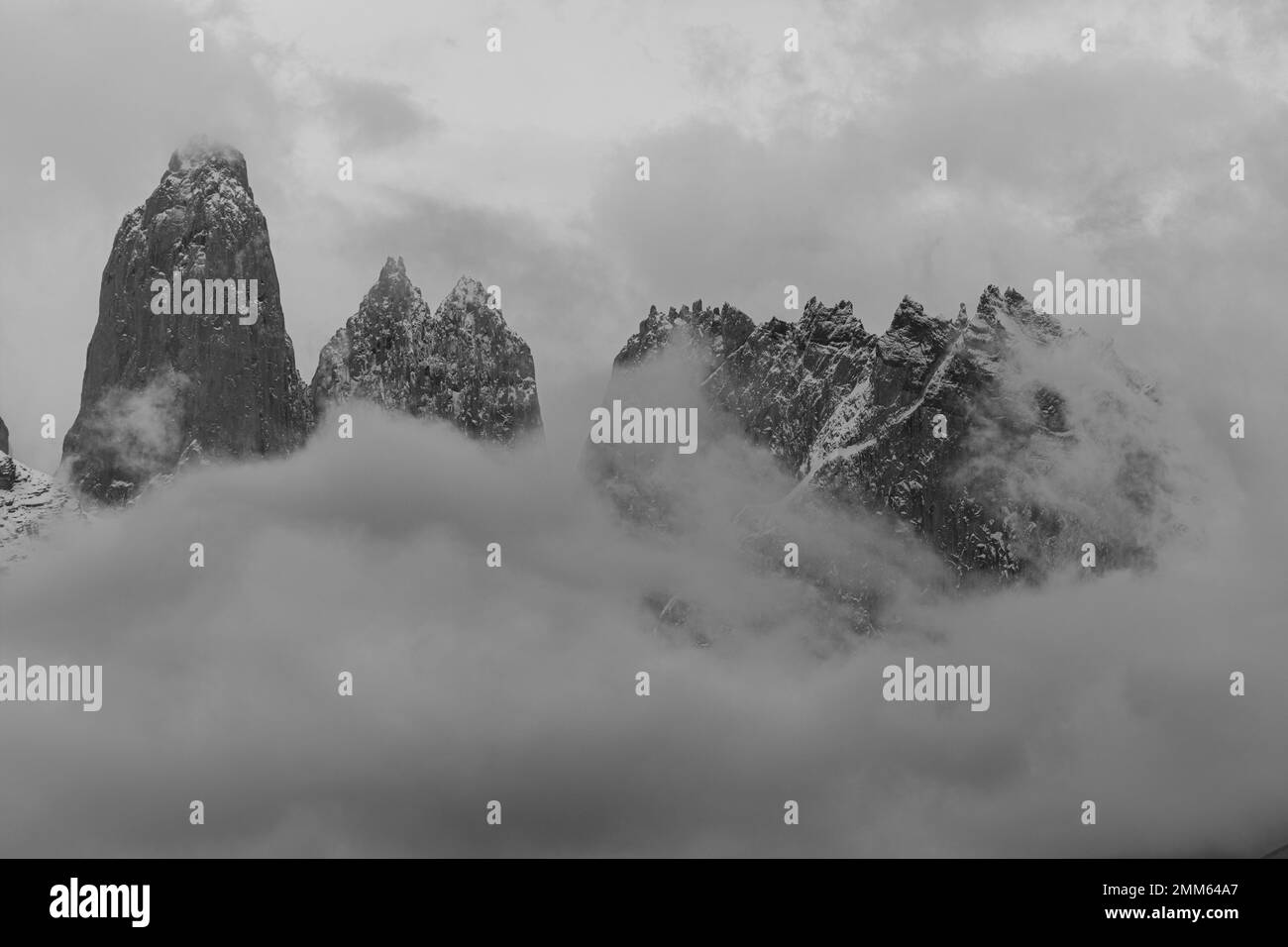 J'ai pris ces photos en novembre 2019 à la recherche de Pumas dans le parc national Torres Del Paine Banque D'Images