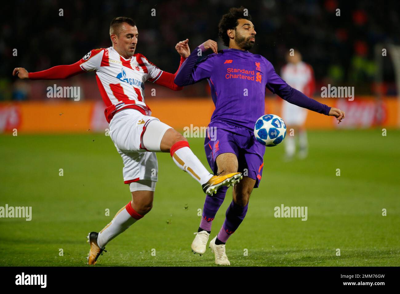 Red Star's Nenad Krsticic, left, duels for the ball with Liverpool forward Mohamed Salah during the Champions League group C soccer match between Red Star and Liverpool at the Rajko Mitic stadium in Belgrade, Serbia, Tuesday, Nov. 6, 2018. (AP Photo/Marko Drobnjakovic) Banque D'Images