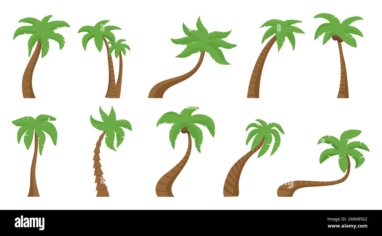 Palmiers tropicaux, palmier floral vert. Nature exotique hawaïenne, plante de plage d'été. Flore botanique extérieure, saison estivale Illustration de Vecteur