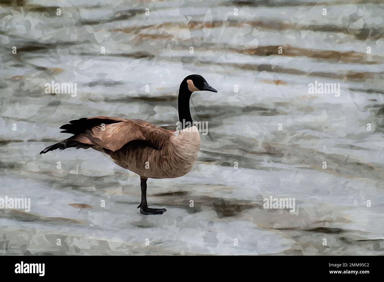 Peinture à l'aquarelle créée numériquement de l'oie du Canada branta canadensis en équilibre sur une jambe d'un lac gelé Banque D'Images