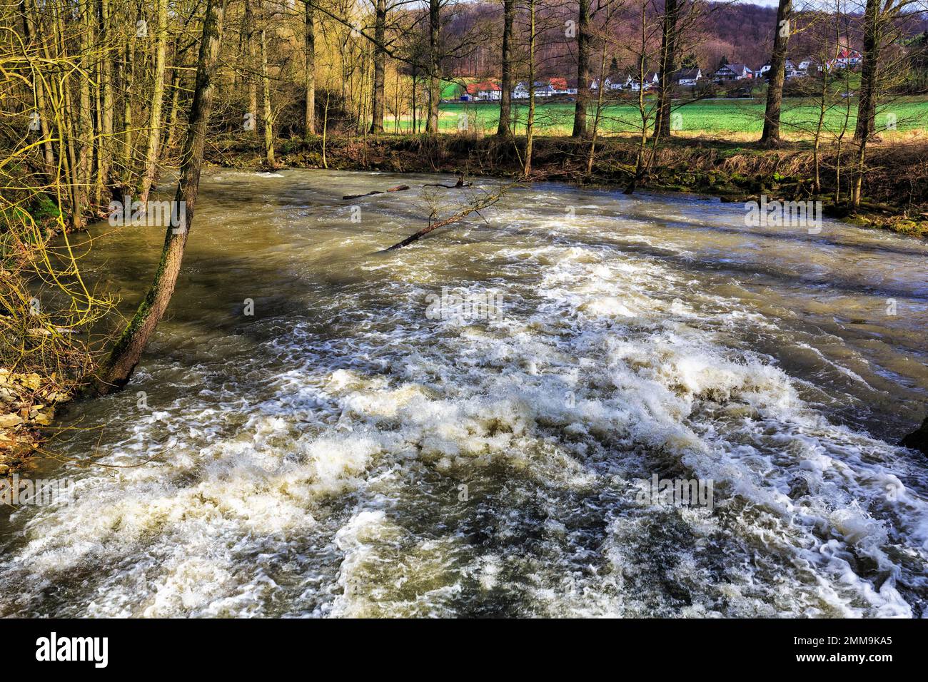 Paysage fluvial, néthe naturel, végétation riveraine, réserve naturelle, patrimoine naturel européen, Rheder, Brakel, Teutoburger Wald Eggebirge Banque D'Images