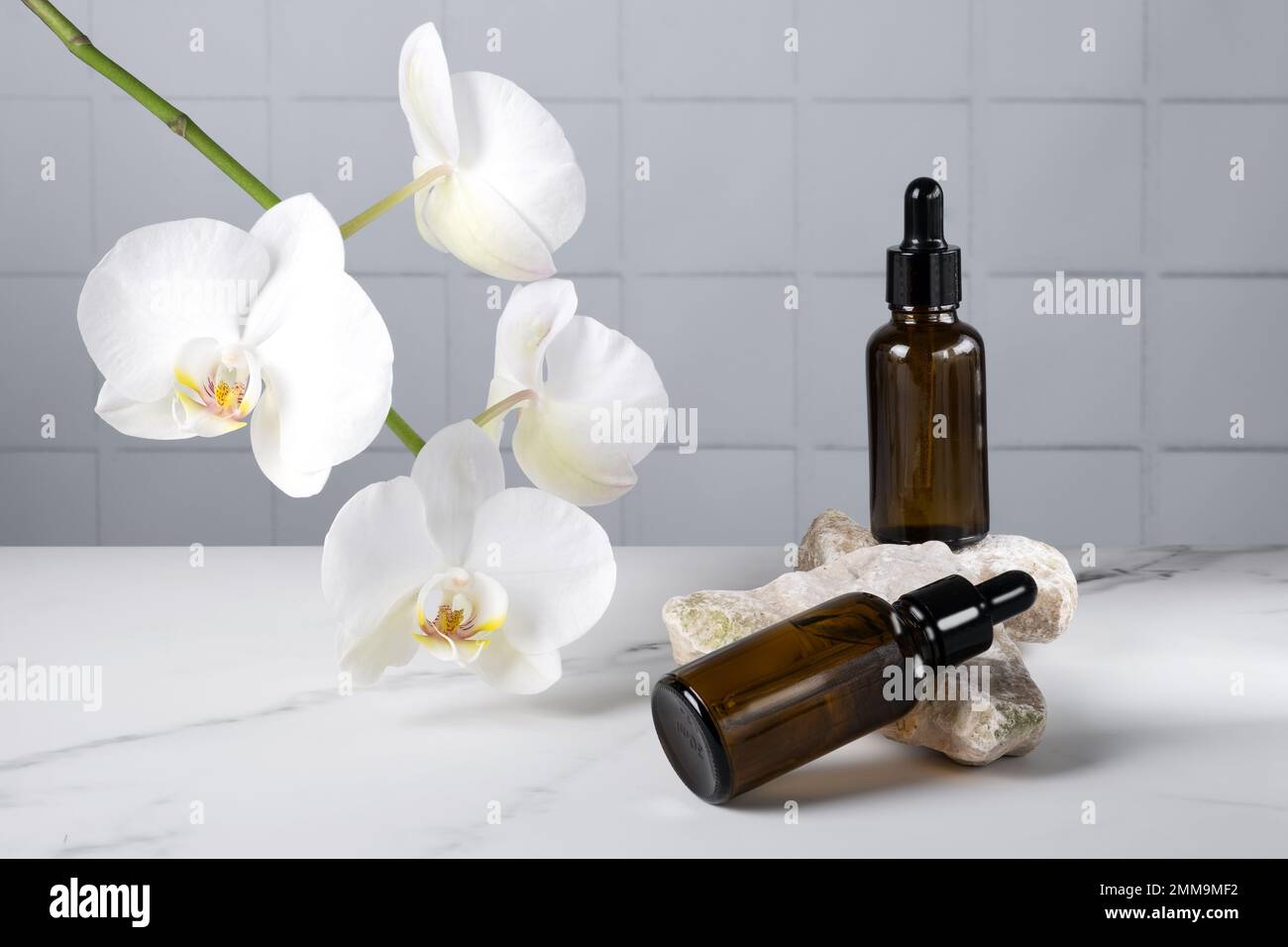 Flacons avec pipette et produit cosmétique Banque D'Images