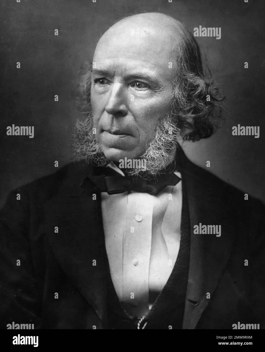 Herbert Spencer (1820 – 1903) philosophe anglais, psychologue, biologiste, anthropologue et sociologue célèbre pour son hypothèse du darwinisme social. Banque D'Images