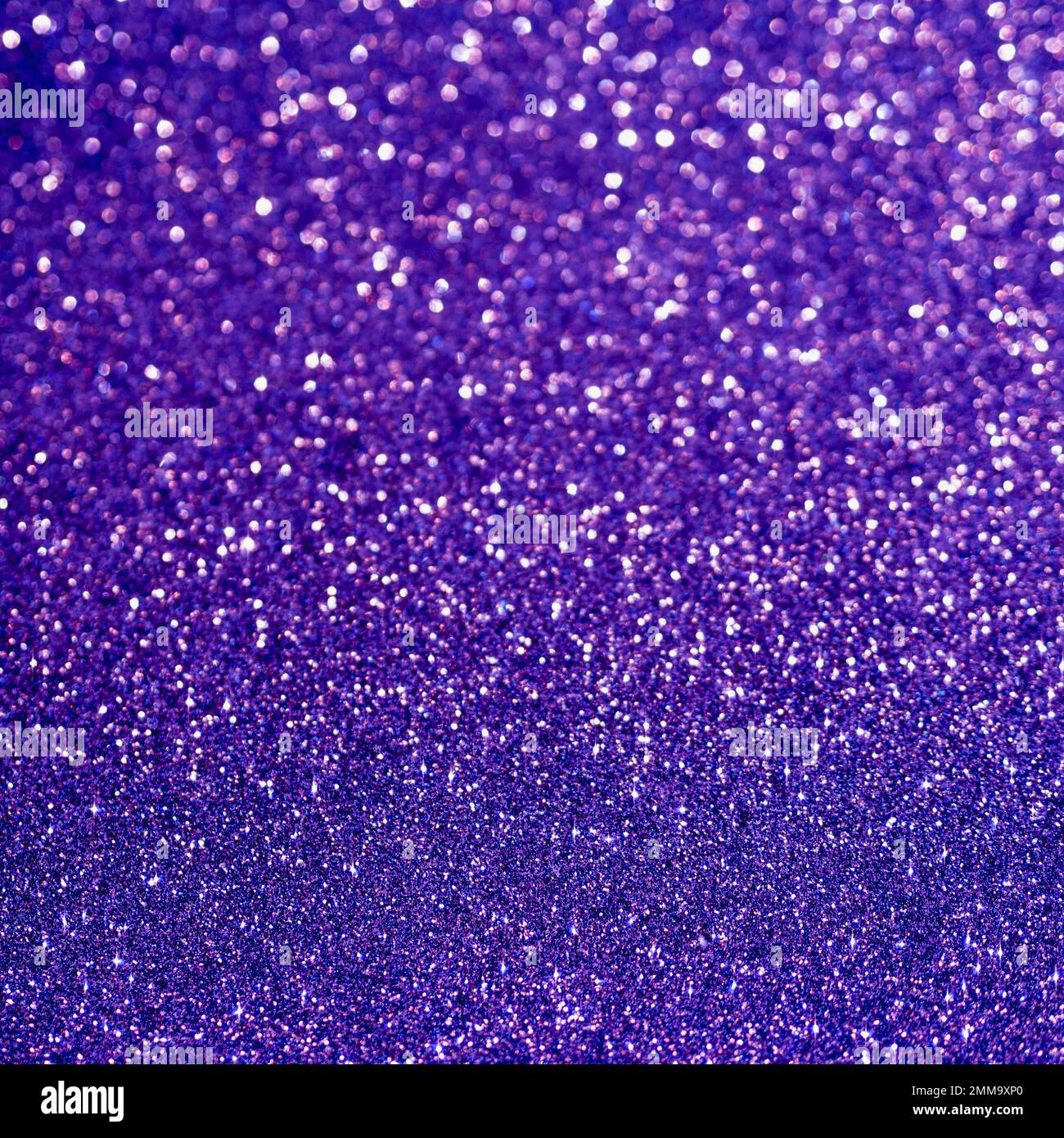 vue du haut sur fond brillant violet vif. Photo haute résolution Banque D'Images