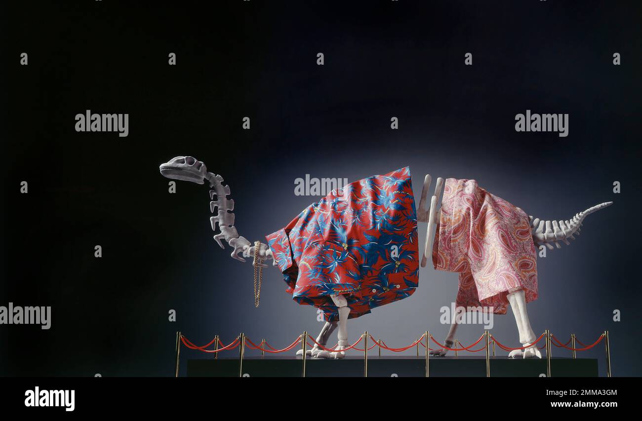 Squelette de Brontosaurus avec chemise hawaïenne et short exposés, entouré de poteaux de guidage et de cordes rouges. C'est un vrai modèle de dinosaure et Haw personnalisé Banque D'Images