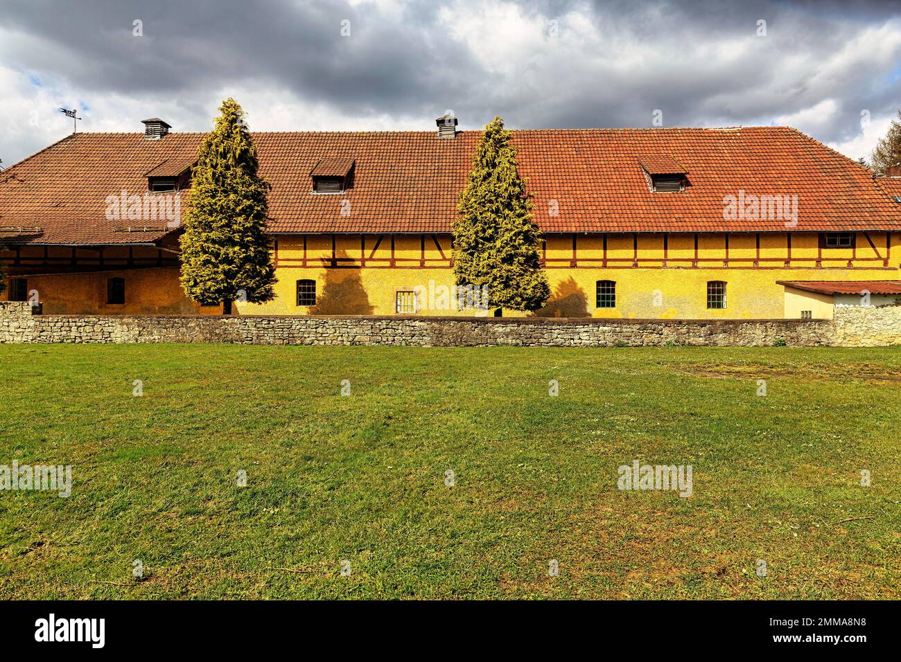 Bâtiment de ferme peint en jaune, ancien manoir, château de Rheder, Brakel, parc naturel de la forêt de Teutoburg Eggebirge, Allemagne Banque D'Images