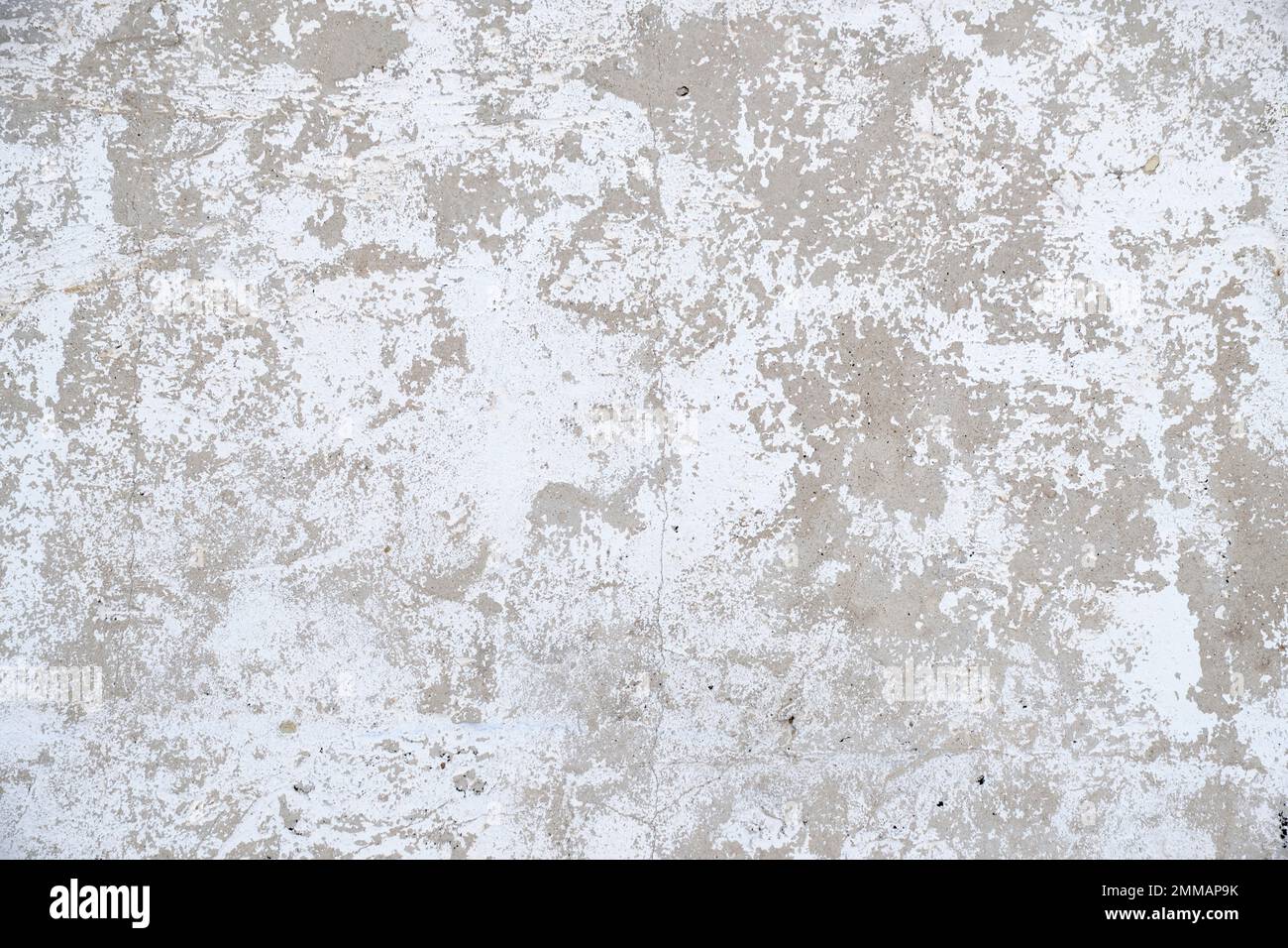Vieux mur en béton gris avec peinture blanche à l'écaillage Banque D'Images
