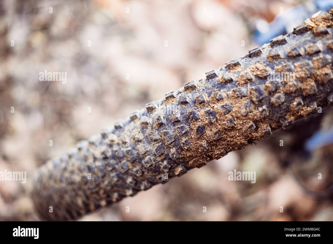 Boutons sales sur un pneu en caoutchouc d'un VTT Banque D'Images