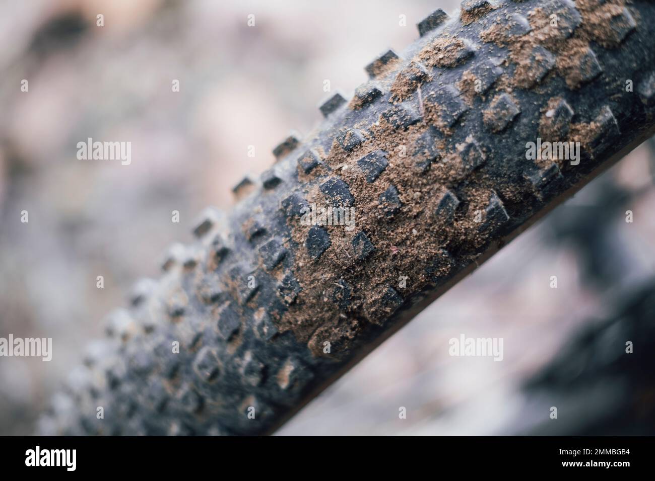 Boutons sales sur un pneu en caoutchouc d'un VTT Banque D'Images
