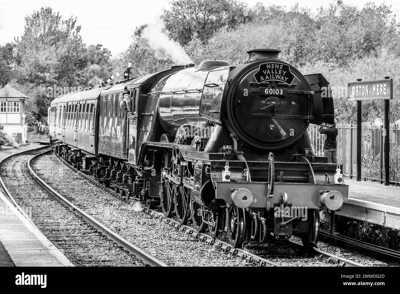 60103 Flying Scotsman au travail sur le chemin de fer de la vallée de Nene Banque D'Images